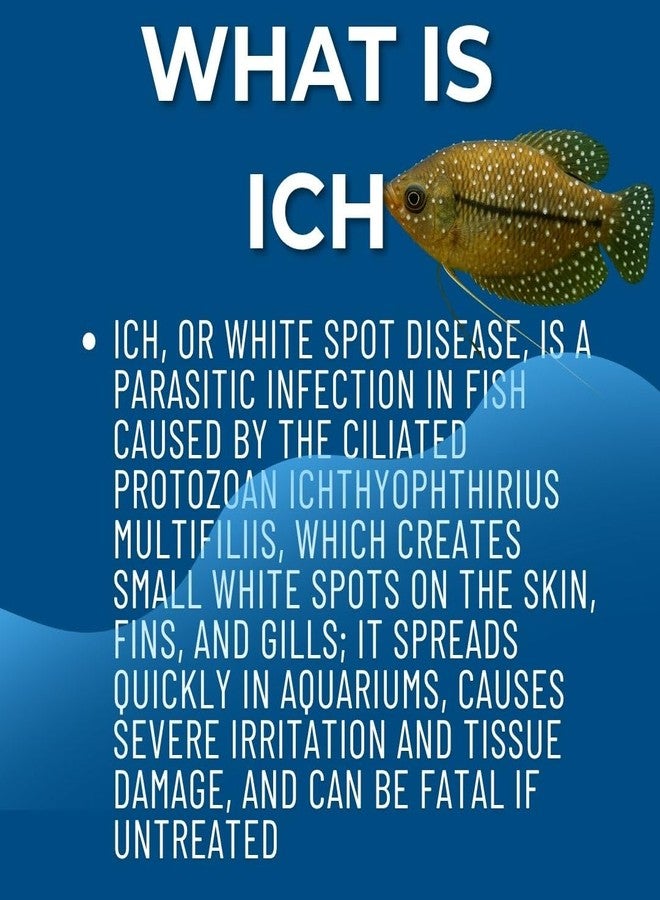 VAYINATO RID All Anti ICH White Spot for Aquarium Fish 180 ML (3 * 60ML) | Effective for White Spot | Safe for Freshwater Fish | Fast Acting Aquarium Formula - Image 4